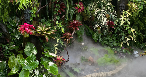 Biệt Thự Lê Quang Định