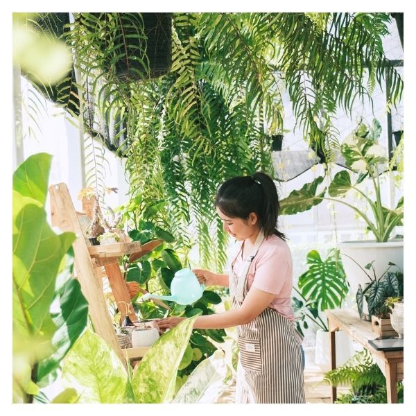 AnaGarden Thi Công Vườn Nhiệt Đới Xanh Mát 2