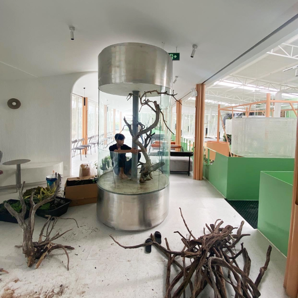 AnaGarden thi công vườn phong cách Nhiệt Đới xanh mướt mắt tại The Ghill Coffee 12