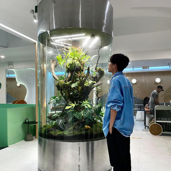 AnaGarden thi công vườn phong cách Nhiệt Đới xanh mướt mắt tại The Ghill Coffee 2