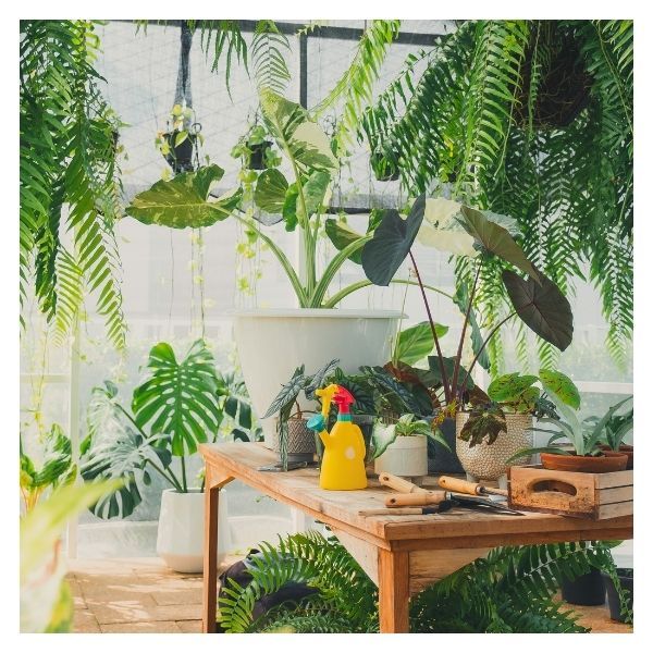 AnaGarden Thi Công Vườn Nhiệt Đới Xanh Mát 1