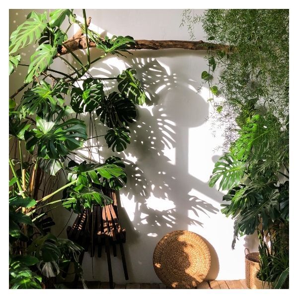 AnaGarden Thi Công Vườn Nhiệt Đới Xanh Mát 4