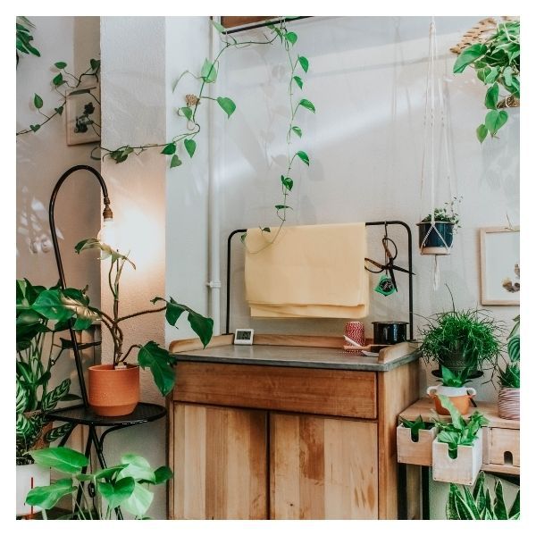 AnaGarden Thi Công Vườn Nhiệt Đới Xanh Mát 3