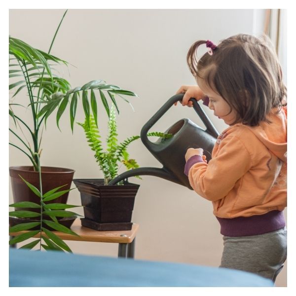 AnaGarden Thi Công Vườn Nhiệt Đới Xanh Mát 5