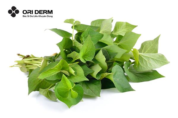 Đặc điểm của rau diếp cá