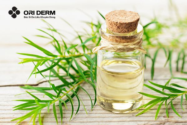 Cách trị mụn viêm mủ bằng tinh dầu trà tràm
