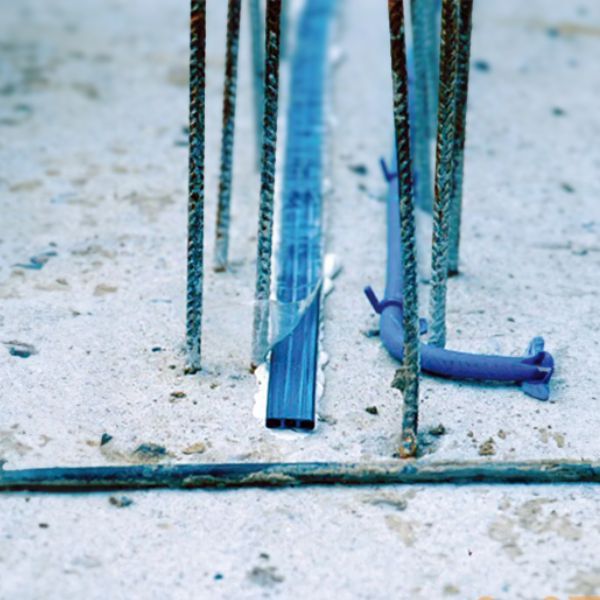 Hình ảnh bài viết