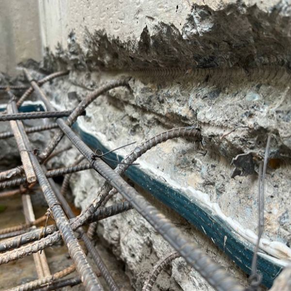 Hình ảnh bài viết