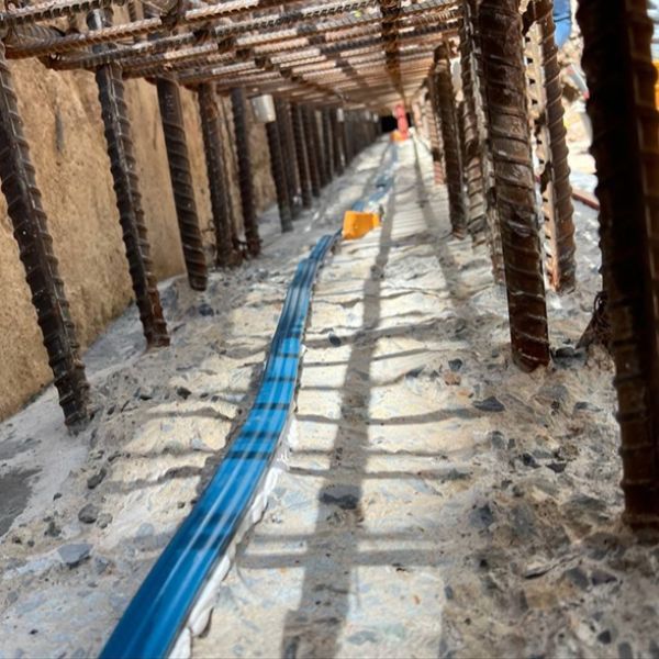 Hình ảnh bài viết