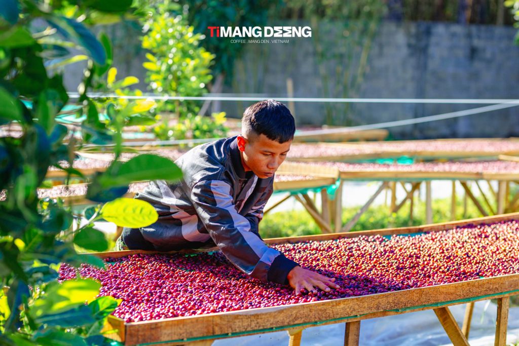 A Triu - Để cà phê kể câu chuyện về quê hương mình.