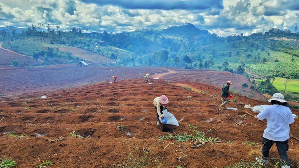 T'Măng Deeng - Core Values