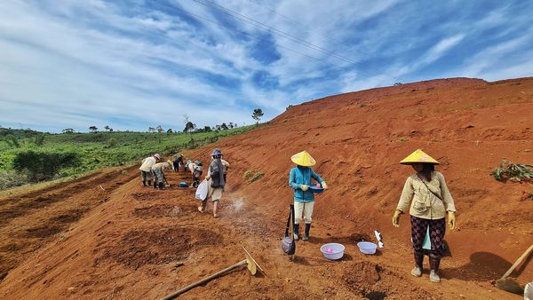 About T'Măng Deeng: Vietnamese Coffee - World Class Quality