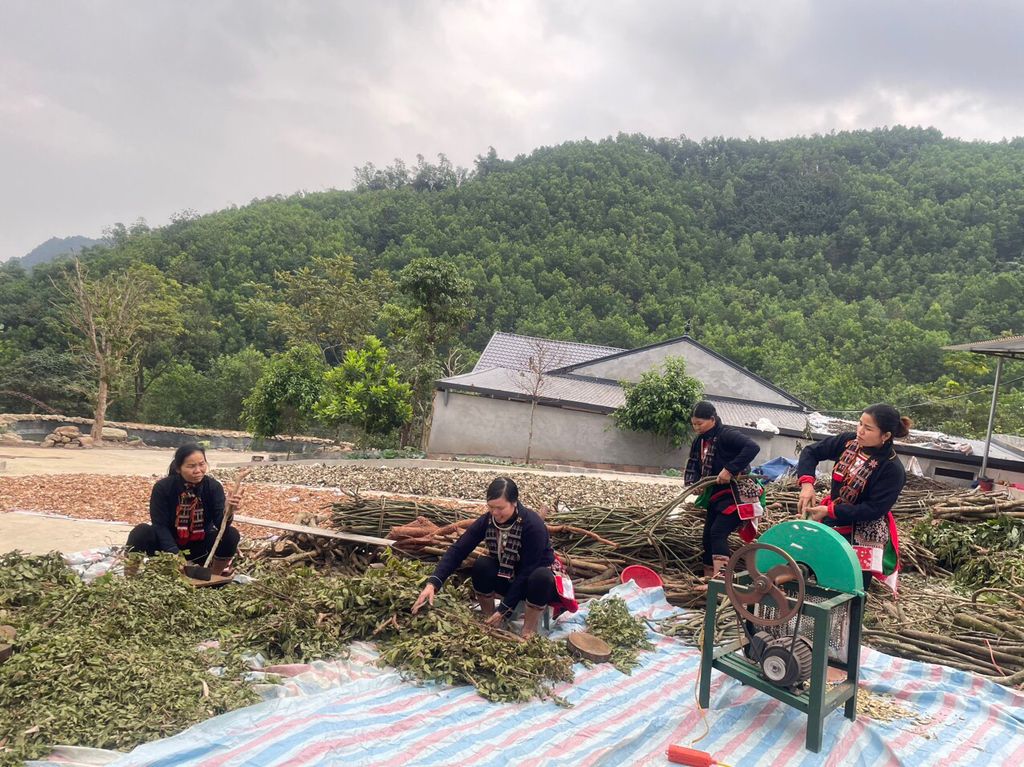Nghề