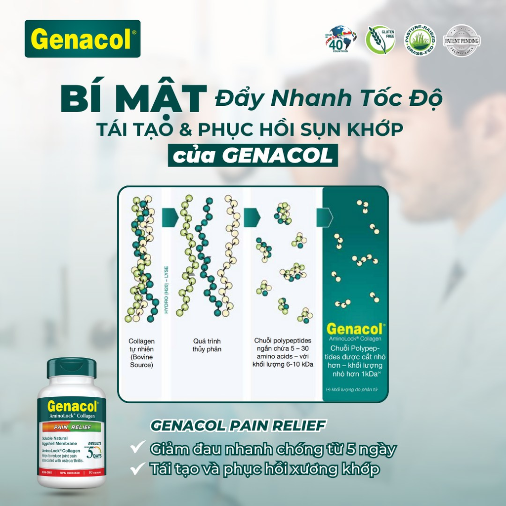 BÍ MẬT GIÚP ĐẨY NHANH TỐC ĐỘ TÁI TẠO VÀ PHỤC HỒI SỤN KHỚP CỦA GENACOL
