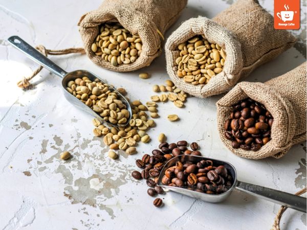 Tác động cafein trong cà phê