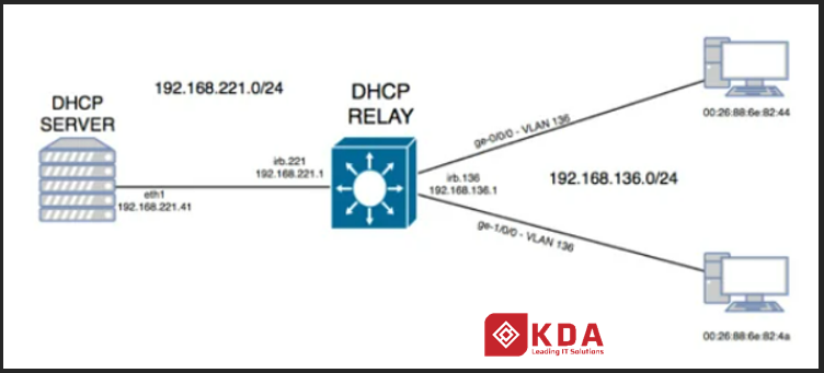 Cấu hình DHCP Server hoặc Relay trên Switch EX Series