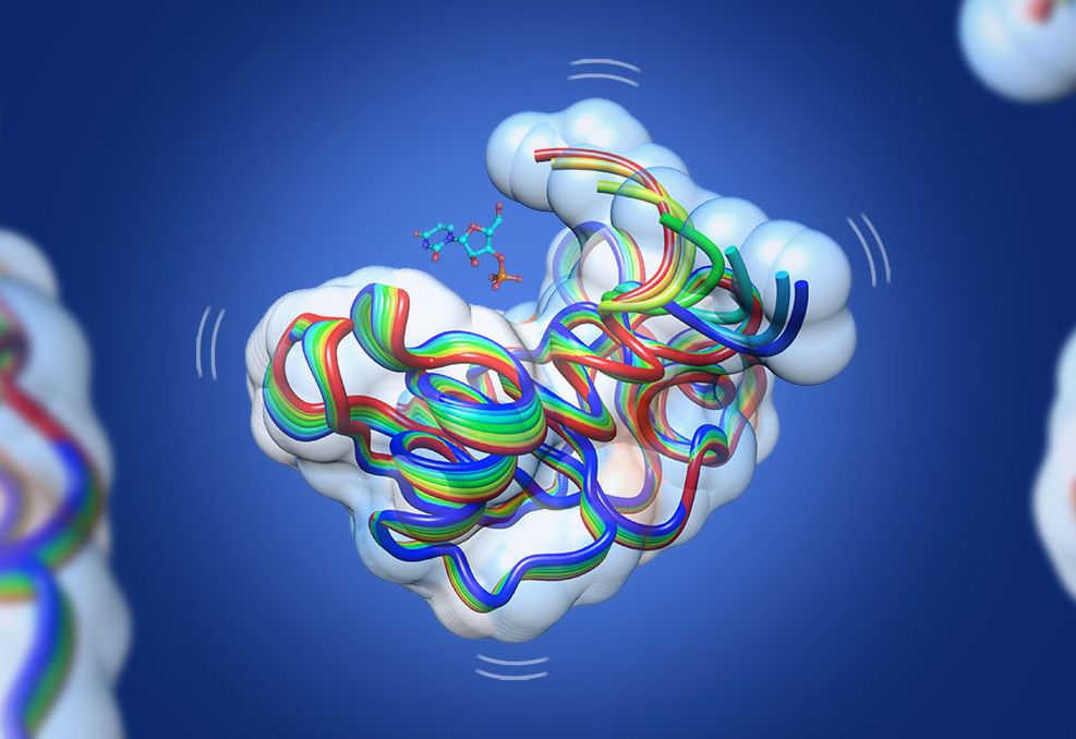 Enzyme là gì? Tác dụng của enzyme đối với sức khỏe