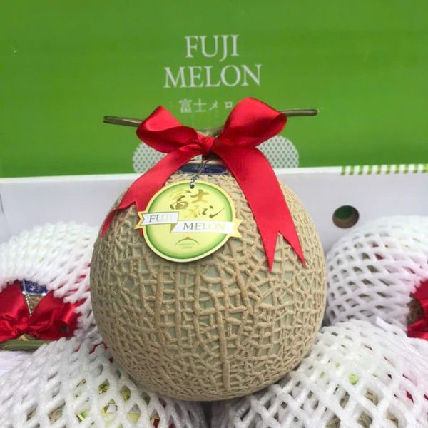 Dưa giống Nhật Musk Melon – Siêu phẩm quà biếu cao cấp