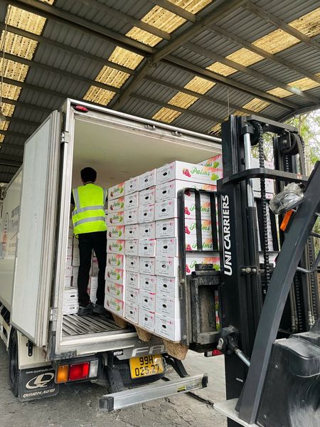 kinh-doanh-trai-cay-nhap-khau