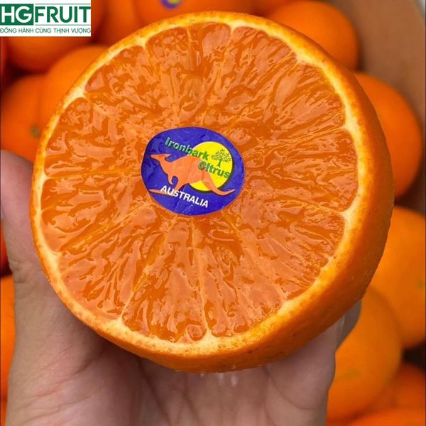 Quýt Úc thơm ngon, giá sỉ tốt nhất thị trường