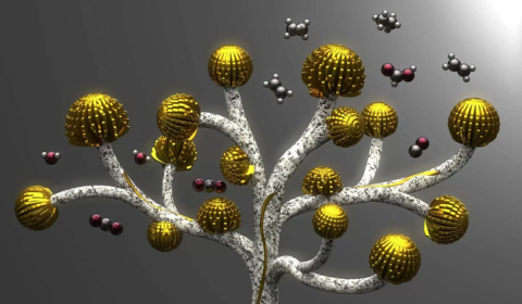 Artificial leaf turns CO2 into fuel and valuable chemicals – MPS