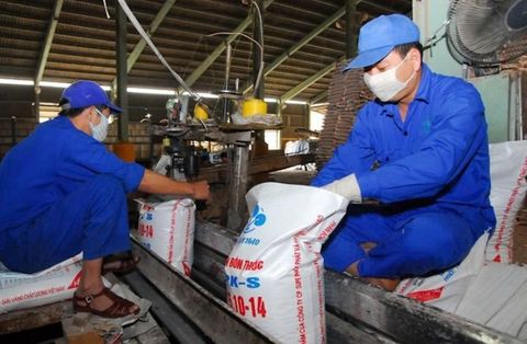 GIÁ PHÂN BÓN NĂM 2025 KỲ VỌNG ỔN ĐỊNH NHỜ NGUỒN CUNG ĐƯỢC CỦNG CỐ