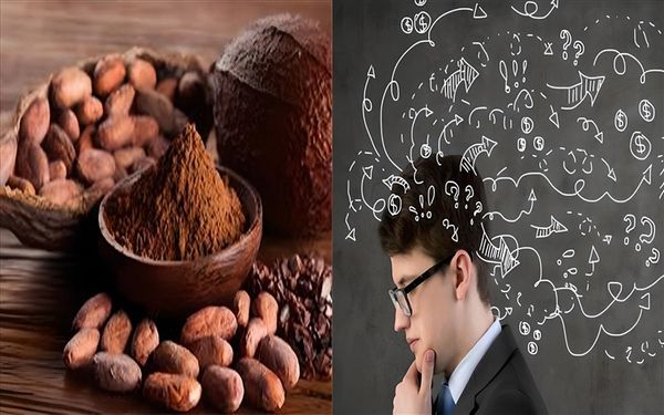 Socola cải triện chức năng não