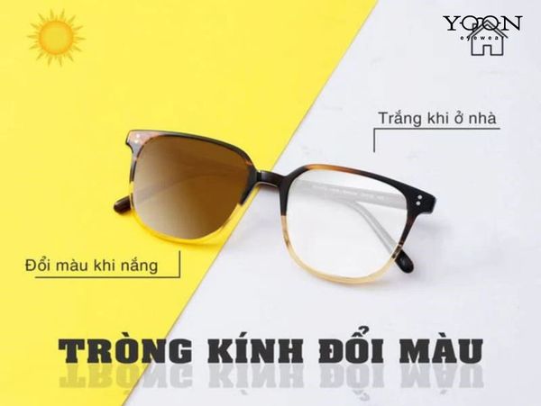 TRÒNG KÍNH ĐỔI MÀU HOẠT ĐỘNG RA SAO