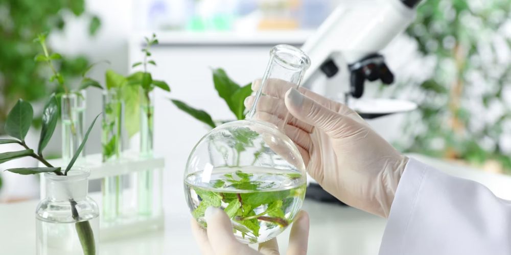 Nhiên liệu sinh học là gì? Những ưu điểm và nhược điểm của nhiên liệu sinh học trong đời sống hiện nay