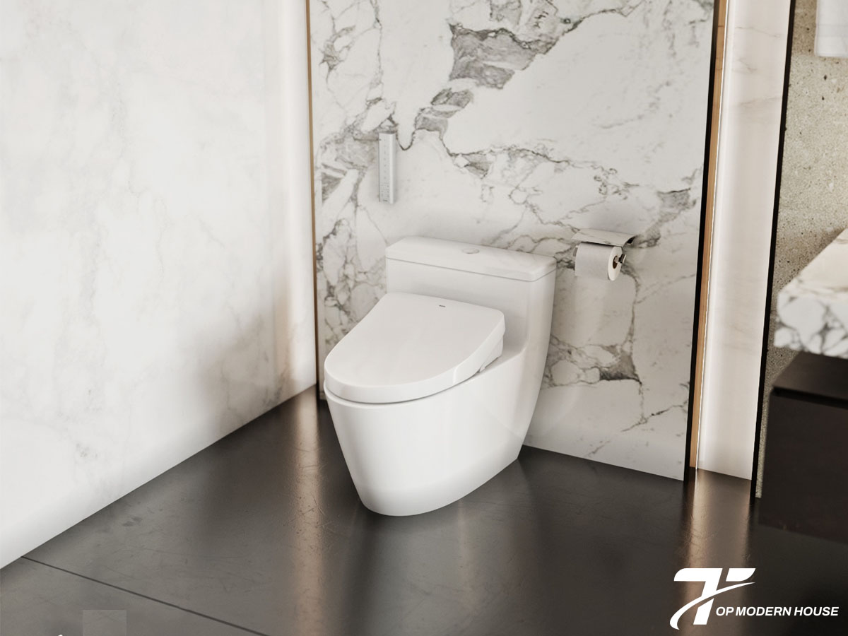 Khi mua bồn cầu thông minh TOTO, cần chú ý đến nguồn điện, áp lực nước và chức năng phù hợp với nhu cầu sử dụng.