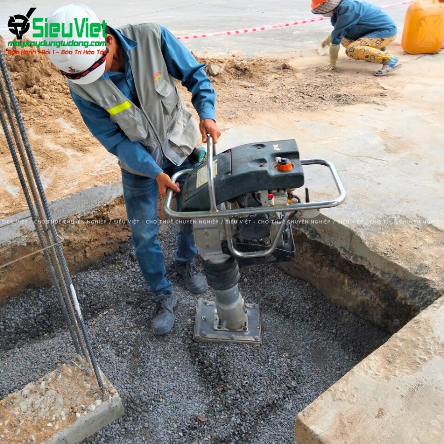 Máy đầm cóc cho thuê