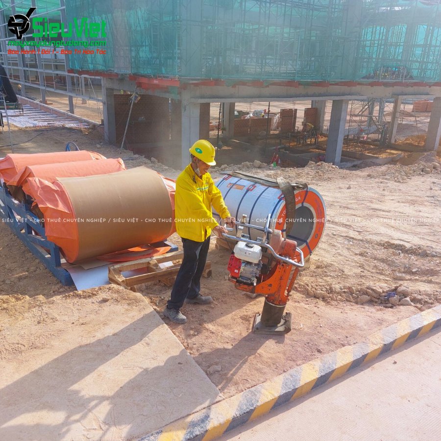 Máy đầm cóc cho thuê