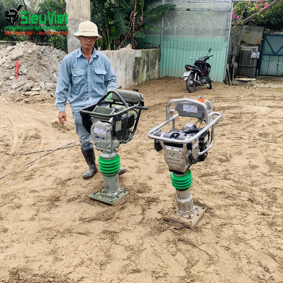 Máy đầm cóc cho thuê