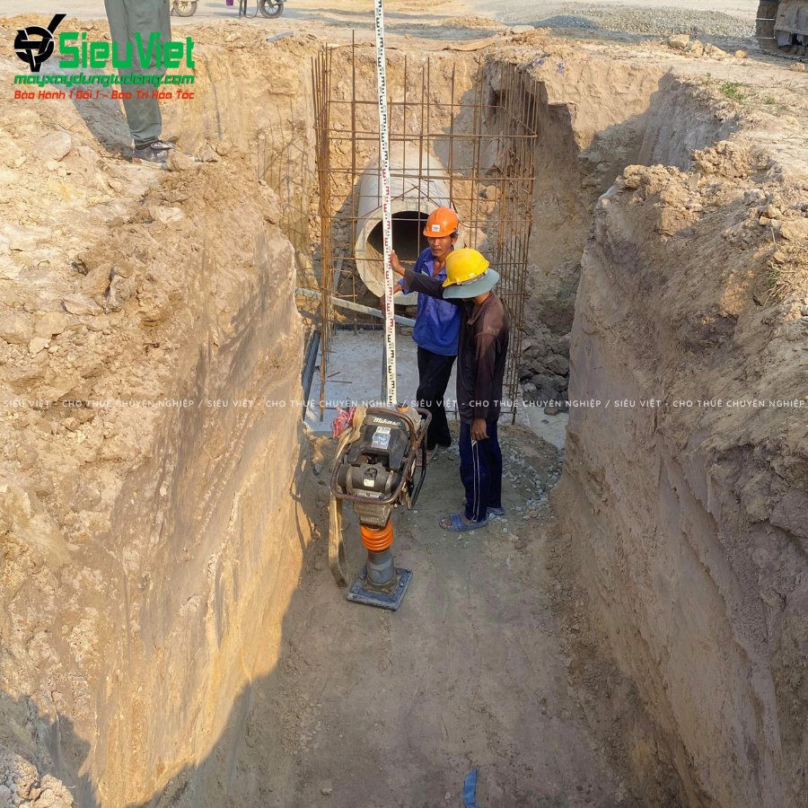 Máy đầm cóc cho thuê