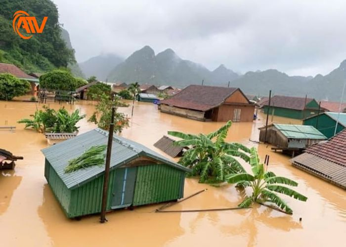 Hậu quả khi bão đi qua