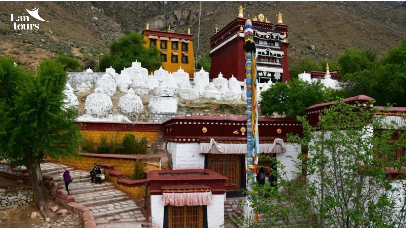 Sông băng lai cổ