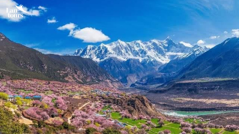 Sông băng lai cổ