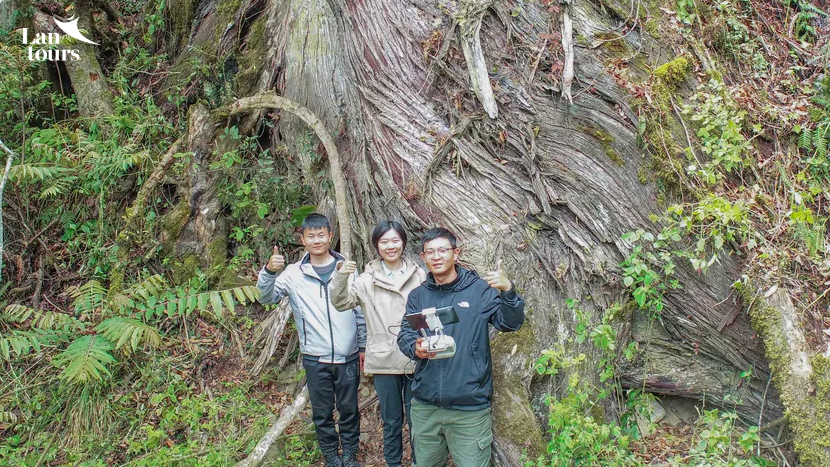 Sông băng lai cổ