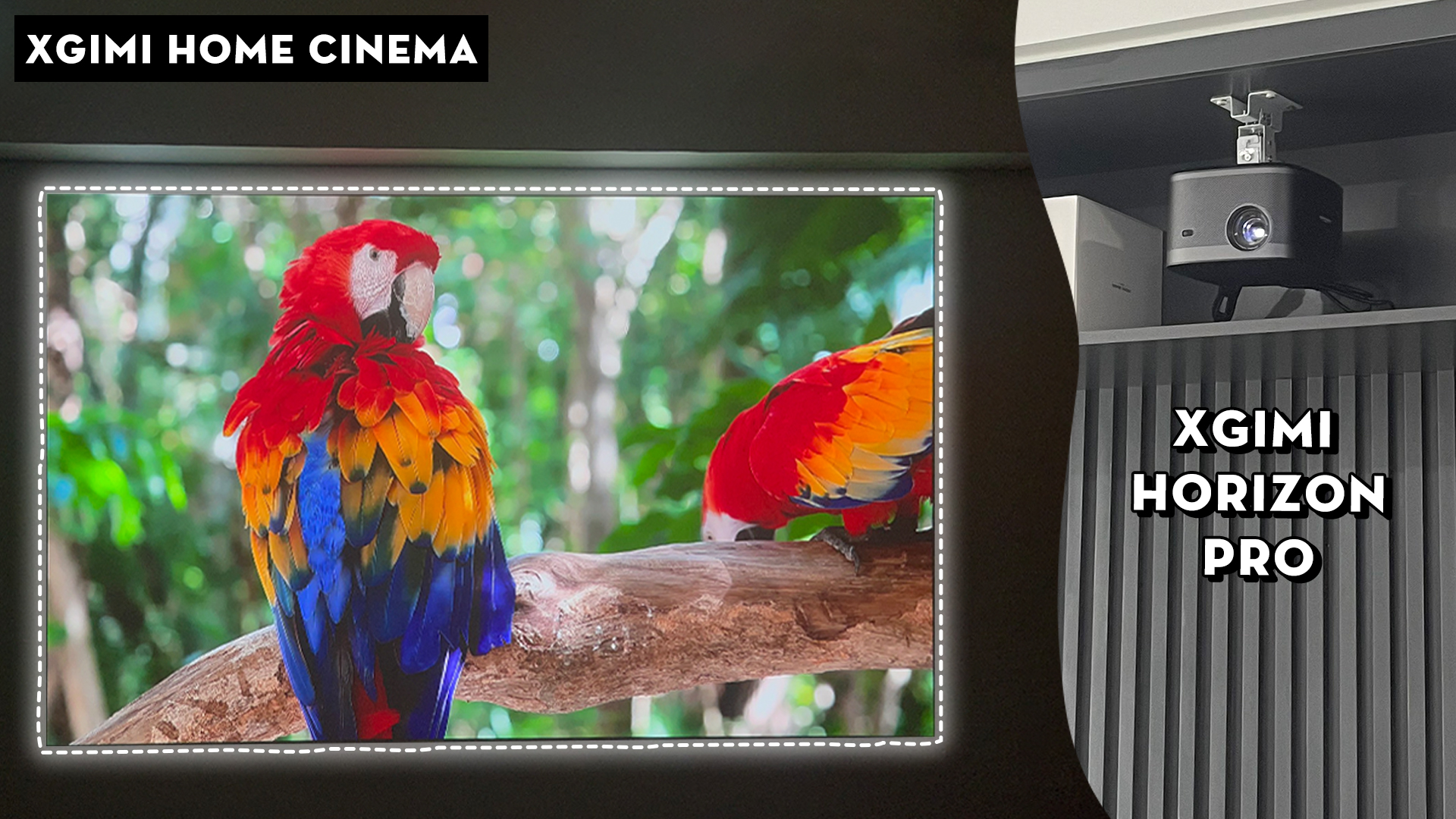 HOME CINEMA VỚI XGIMI HORIZON PRO CHIẾU LÊN TƯỜNG TRẮNG – Xgimi Việt Nam