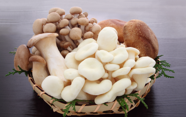 Người ăn chay nên bổ sung nhiều nấm để bù lượng B12 bị thiếu