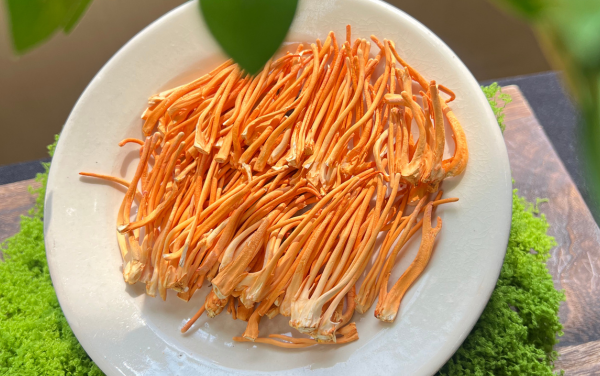 Đông trùng hạ thảo nuôi cấy có nguồn gốc rõ ràng là loại đảm bảo chất lượng