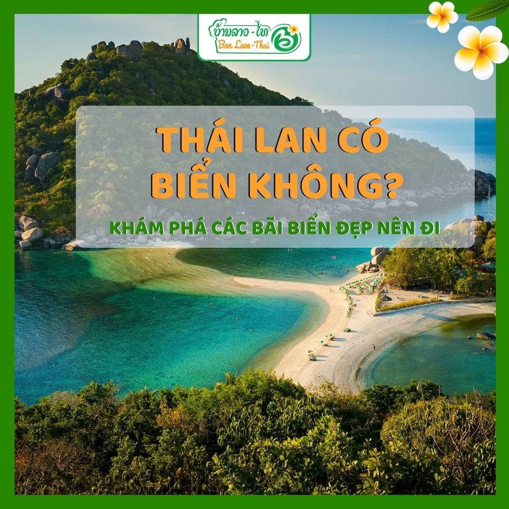 Khám phá ẩm thực Hoa Biển: Vị trí thuận lợi và không gian đẳng cấp