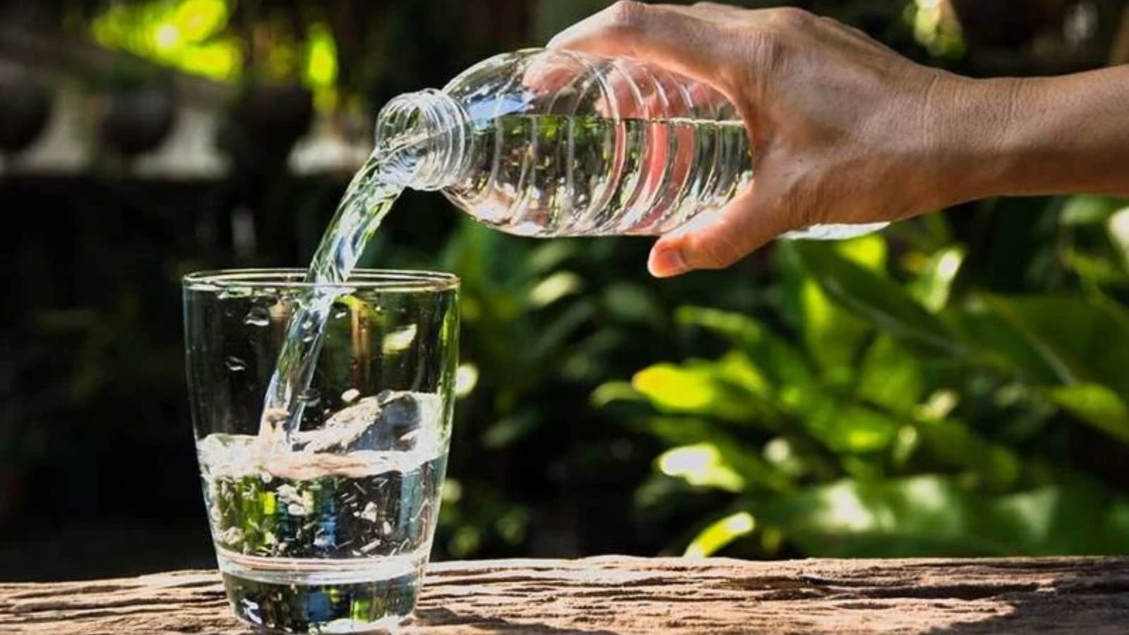 Nước lọc sự lựa chọn an toàn nhất