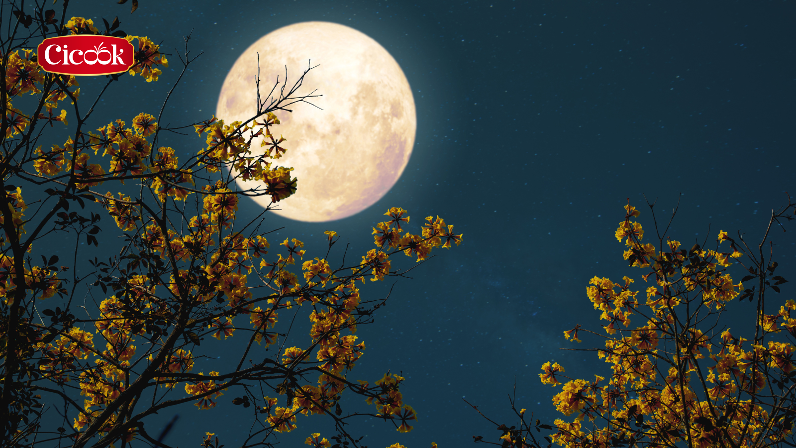 Thời điểm trăng tròn vào rằm tháng Giêng