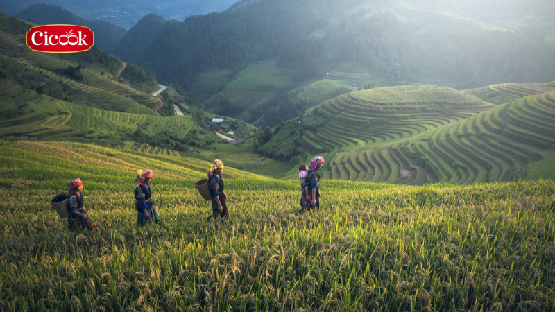 Ủng hộ người nông dân Việt canh tác sạch