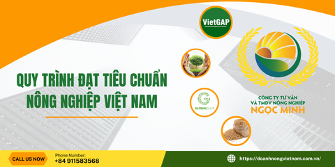 QUY TRÌNH SẢN XUẤT SẠCH ĐẠT TIÊU CHUẨN CỦA NỀN NÔNG NGHIỆP VIỆT NAM - HƯỚNG ĐI BỀN VỮNG CHO TƯƠNG LAI XANH