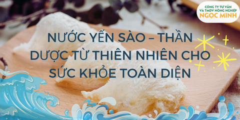 Nước Yến Sào – Thần Dược Từ Thiên Nhiên Cho Sức Khỏe Toàn Diện