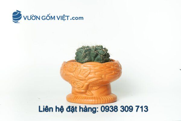 Nhà cung cấp chậu gốm Terracotta toàn quốc theo yêu cầu