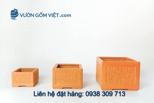 Nhà cung cấp chậu gốm Terracotta toàn quốc theo yêu cầu