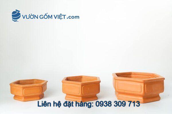 Nhà cung cấp chậu gốm Terracotta toàn quốc theo yêu cầu